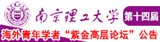 操你的小骚逼南京理工大学第十四届海外青年学者紫金论坛诚邀海内外英才！